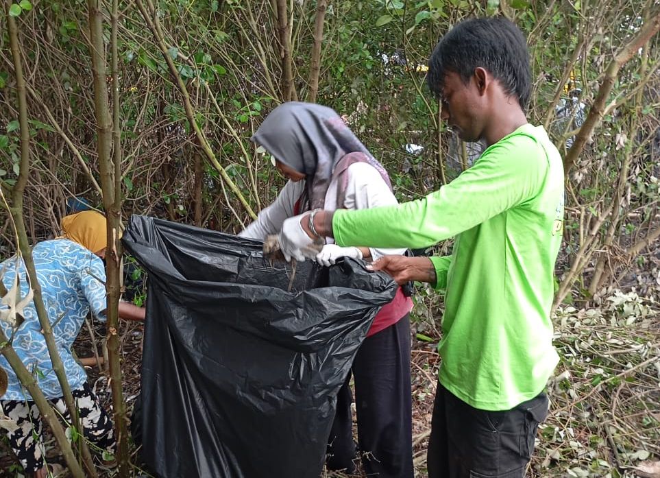 Kolaborasi DKP Jabar dan Pokmaswas: Karawang Gelar ‘Bulan Cinta Laut’, Ajak Ratusan Peserta Bersihkan Pantai Tempuran