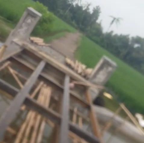 IMG-20251028-WA0024~2