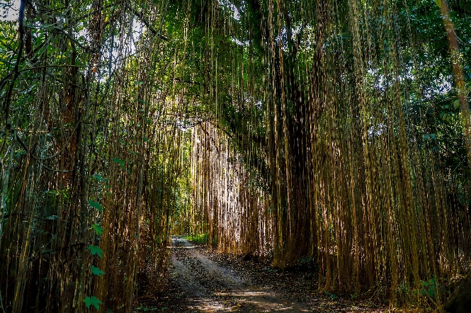Pupuk Kujang Gelar Lomba Foto dan Video “Lensa Kehati”, Hadiah Puluhan Juta Rupiah Menanti