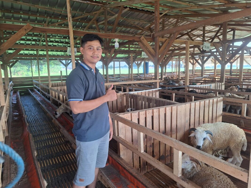 Dari Gaji Pom Bensin Jadi Omzet Miliaran, Kisah Sukses Rizal Bangun Pajero Style Farm di Karawang