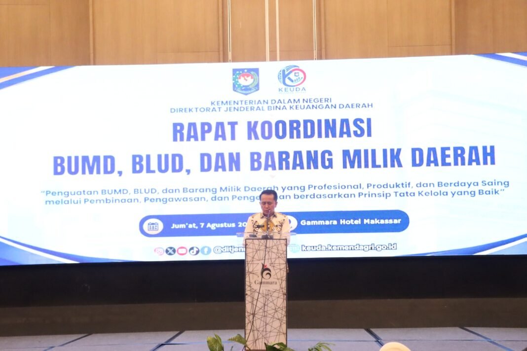 Dirjen Bina Keuangan Daerah, A. Fatoni : Perlu dioptimalkan BUMD, BLUD, dan BMD