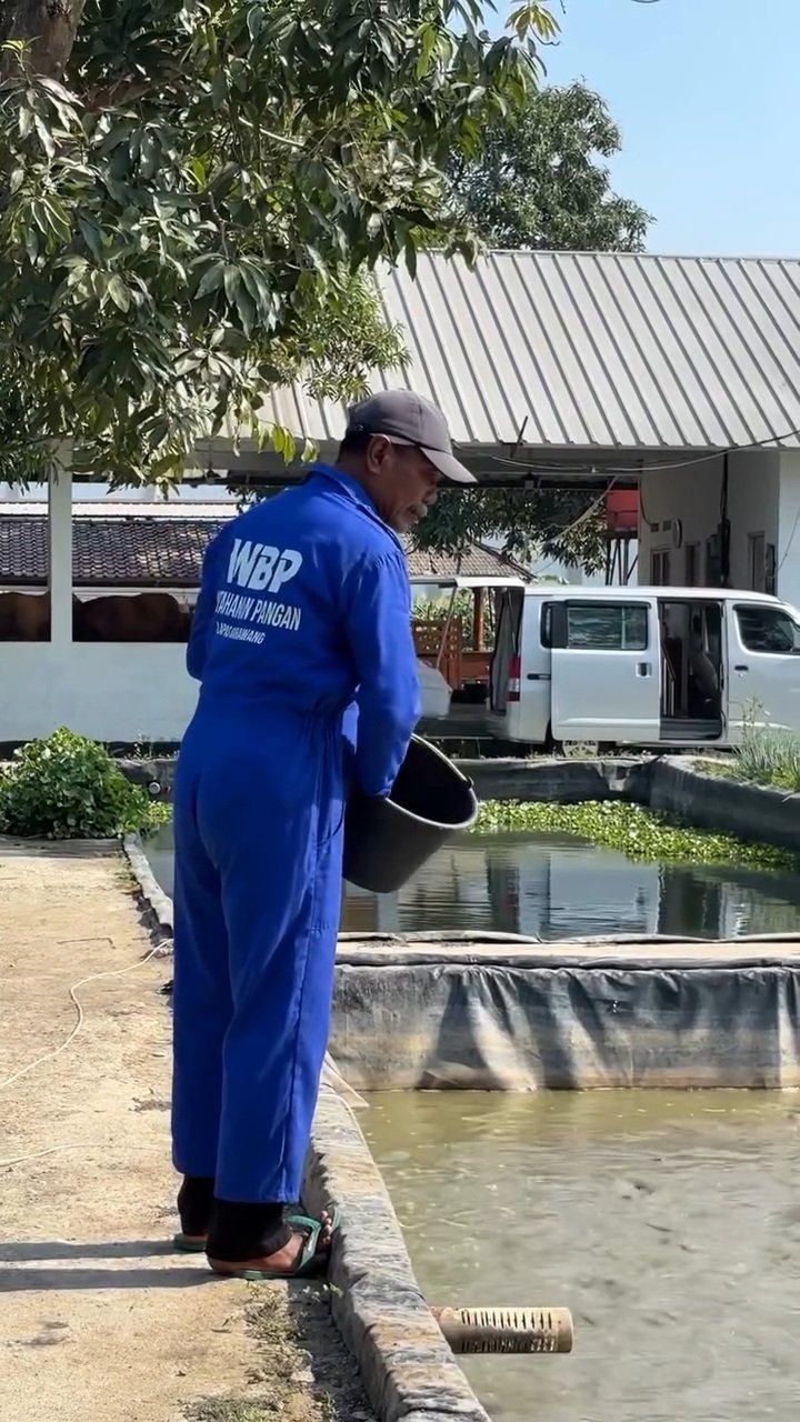 Lapas Karawang Perkuat Program Asimilasi Pertanian untuk Bekali Warga Binaan Kembali ke Masyarakat