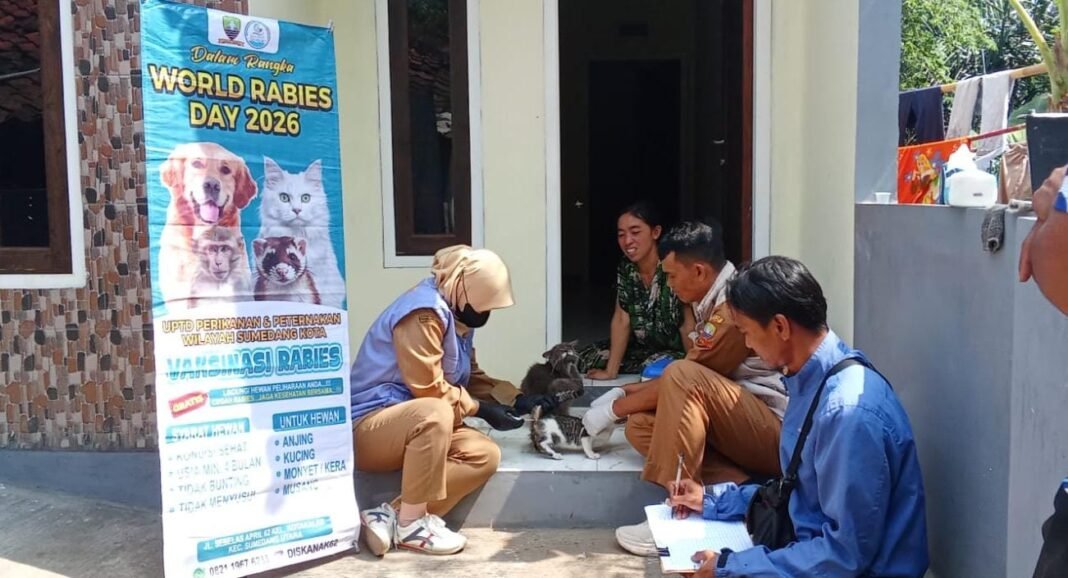 Vaksinasi Rabies Masih Berlanjut, UPTD PP Sumerang Kota Lakukan Sistem Jemput Bola ke Desa